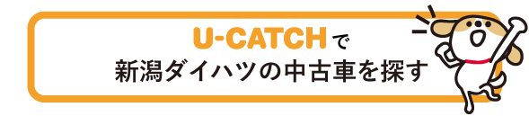 U-CATCH
